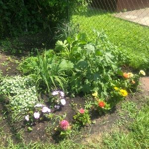 Meet your Posher, Bella